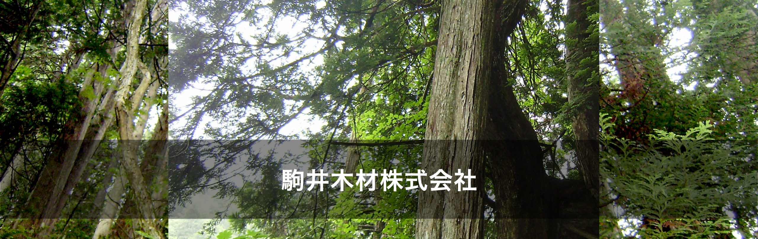 駒井木材株式会社